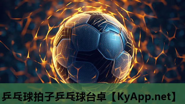 乒乓球拍子乒乓球台卓 乒乓球拍子乒乓球台卓