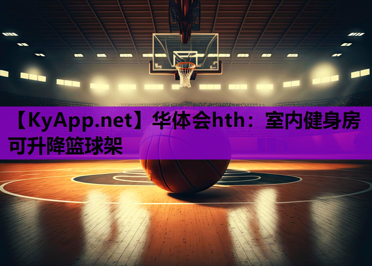 室内健身房可升降篮球架 室内健身房可升降篮球架