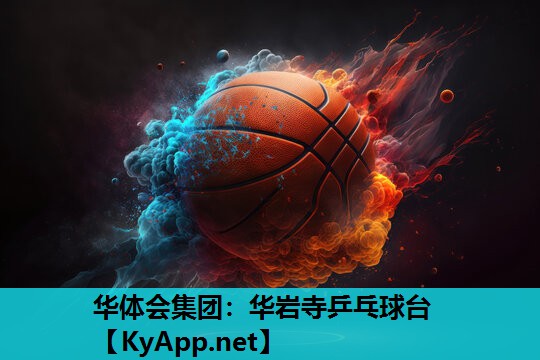 华岩寺乒乓球台 华岩寺乒乓球台