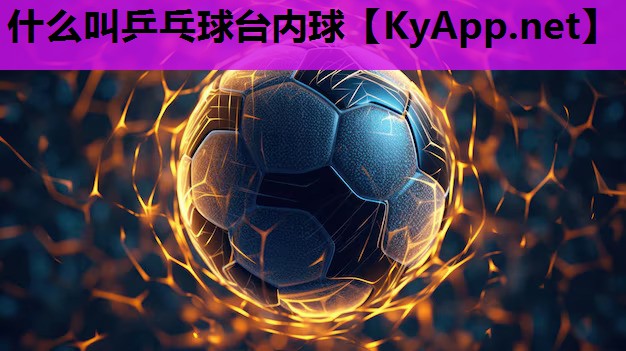 什么叫乒乓球台内球 什么叫乒乓球台内球