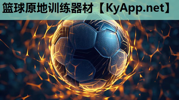 篮球原地训练器材 篮球原地训练器材