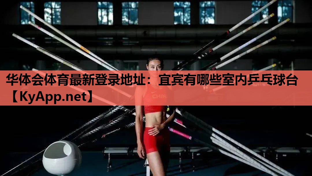 宜宾有哪些室内乒乓球台 宜宾有哪些室内乒乓球台