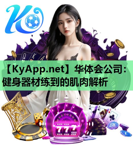 健身器材练到的肌肉解析 健身器材练到的肌肉解析