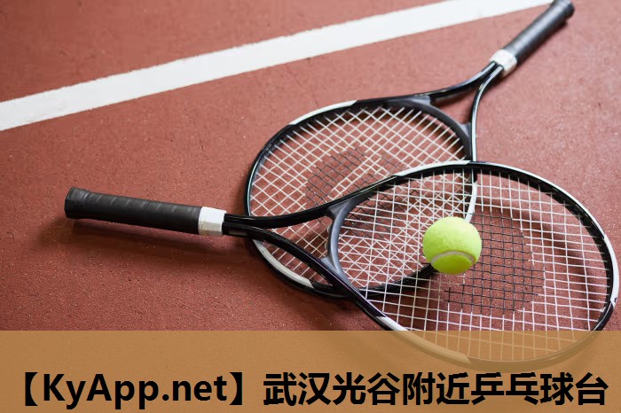 武汉光谷附近乒乓球台 武汉光谷附近乒乓球台