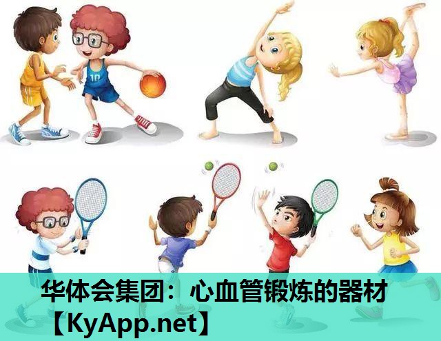 心血管锻炼的器材 心血管锻炼的器材