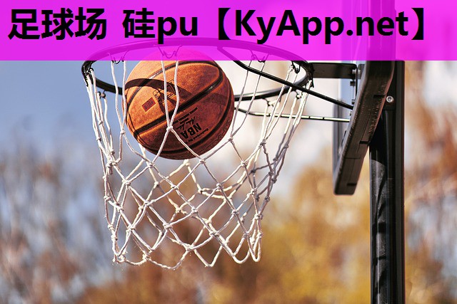 足球场 硅pu 足球场 硅pu