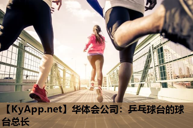 乒乓球台的球台总长 乒乓球台的球台总长