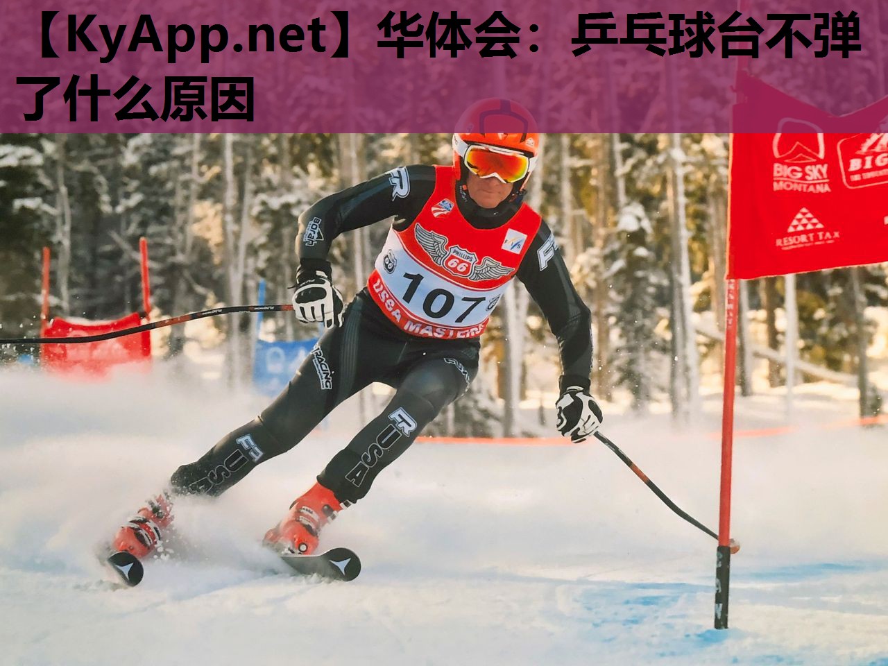 乒乓球台不弹了什么原因 乒乓球台不弹了什么原因