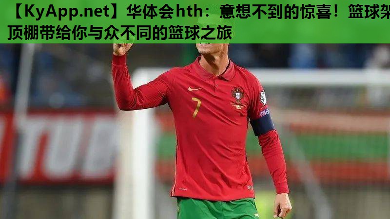 意想不到的惊喜!篮球架顶棚带给你与众不同的篮球之旅 意想不到的惊喜!篮球架顶棚带给你与众不同的篮球之旅