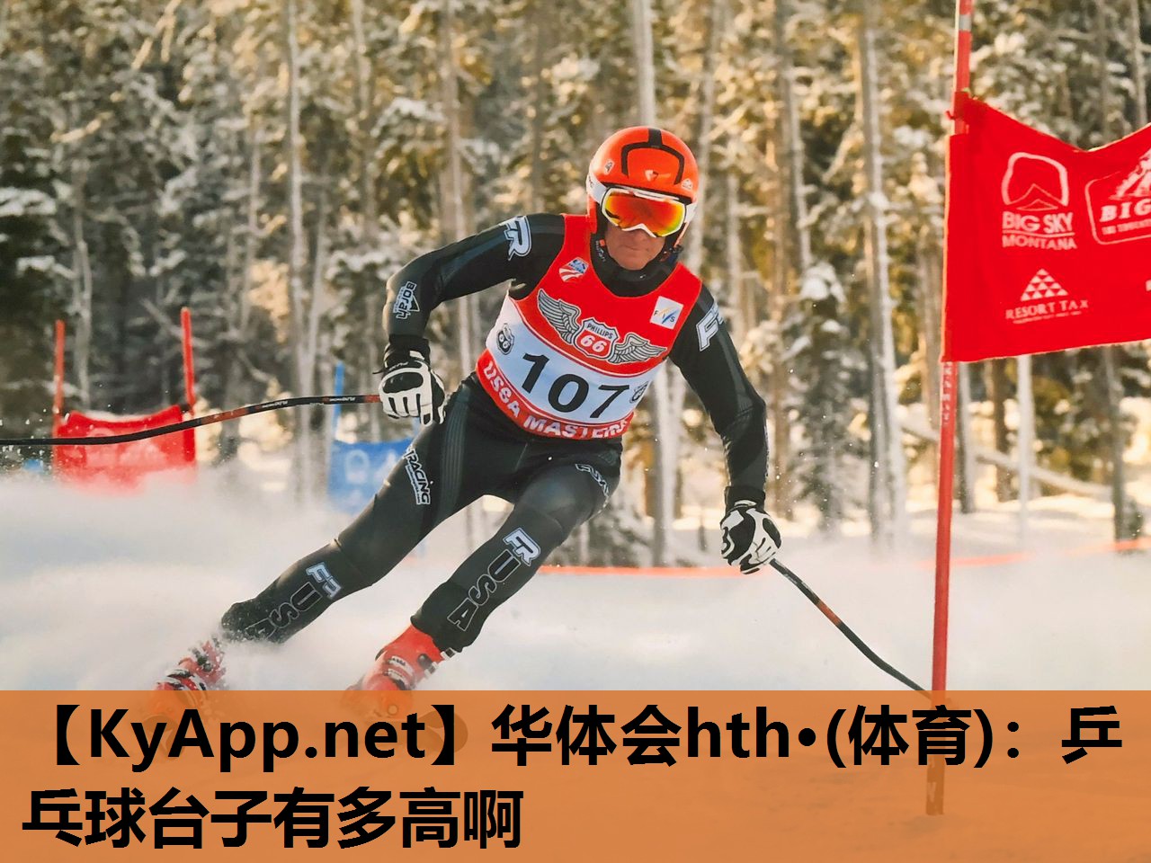 乒乓球台子有多高啊 乒乓球台子有多高啊