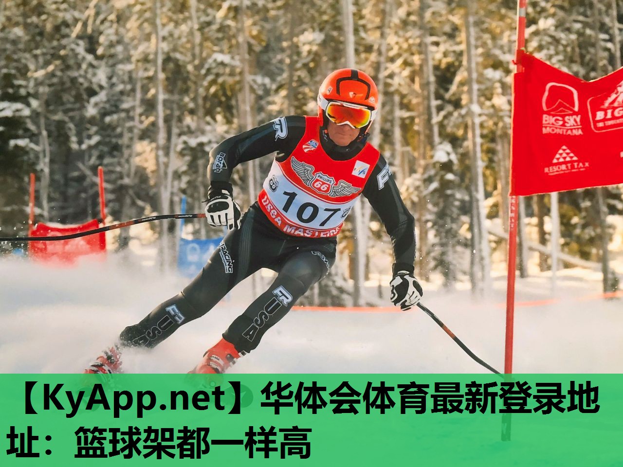 篮球架都一样高 篮球架都一样高