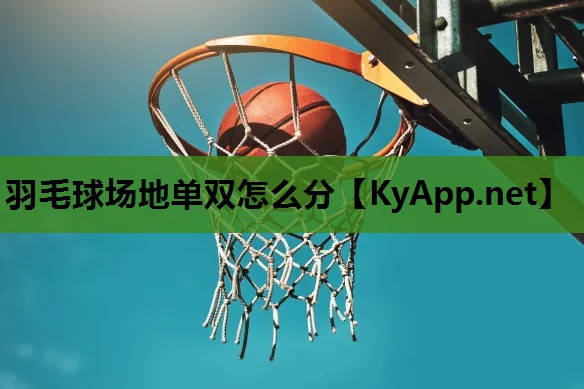 羽毛球场地单双怎么分 羽毛球场地单双怎么分