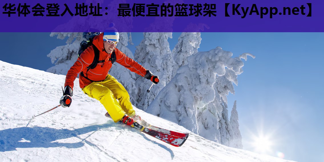 最便宜的篮球架 最便宜的篮球架