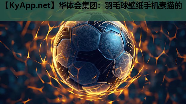 羽毛球壁纸手机素描的 羽毛球壁纸手机素描的