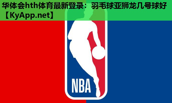 羽毛球亚狮龙几号球好 羽毛球亚狮龙几号球好