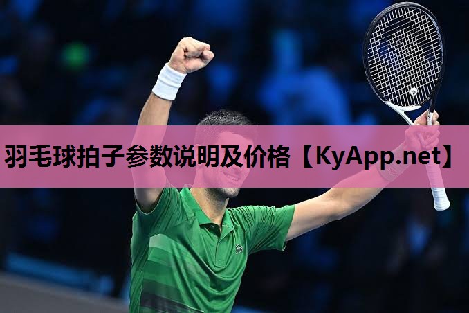 羽毛球拍子参数说明及价格 羽毛球拍子参数说明及价格