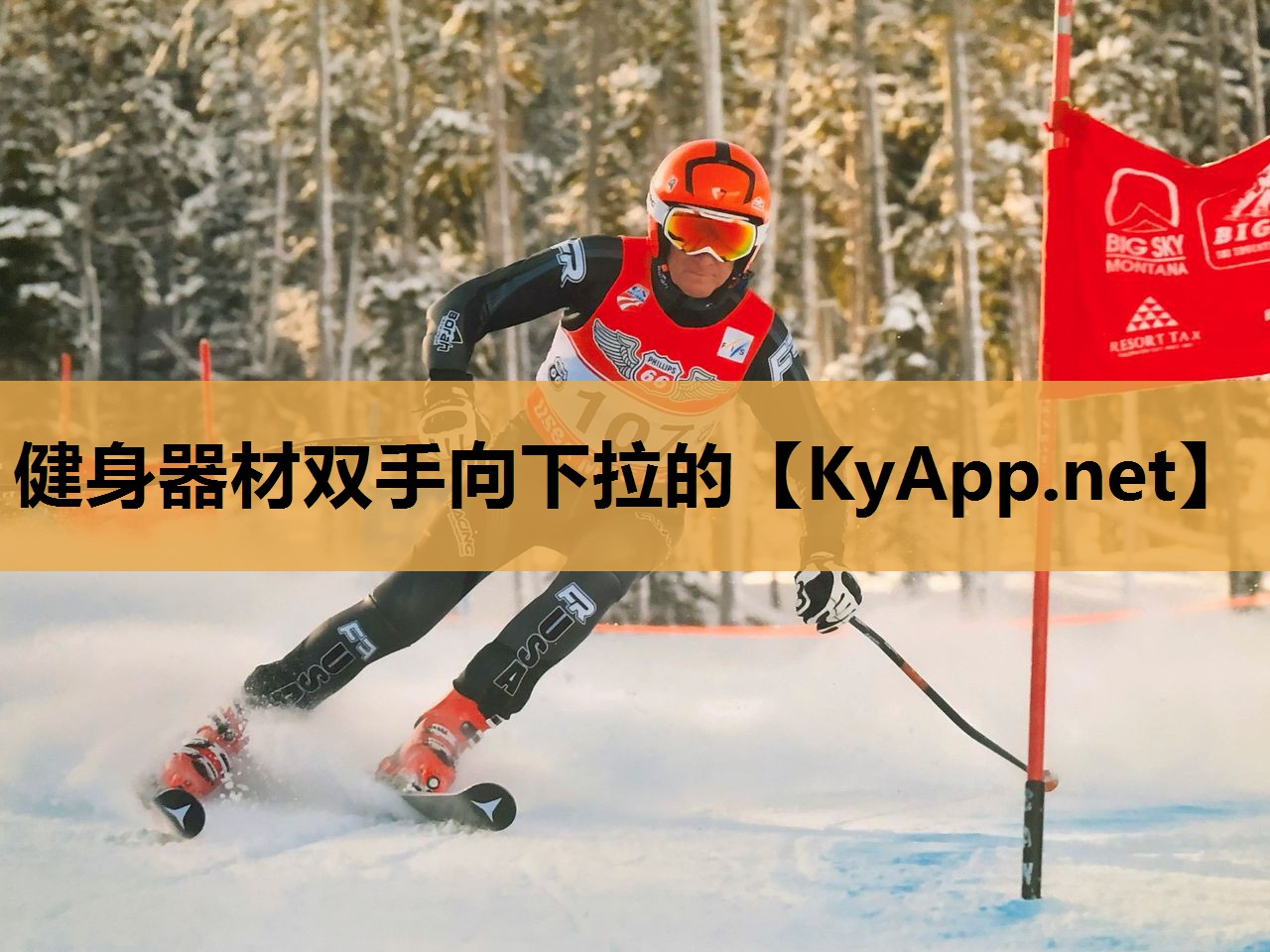 健身器材双手向下拉的 健身器材双手向下拉的