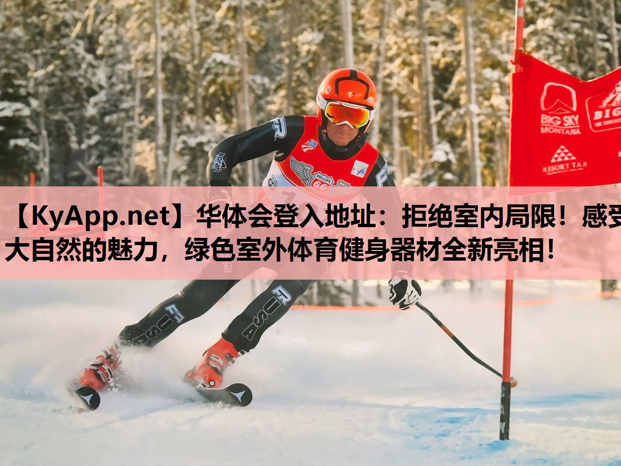 拒绝室内局限!感受大自然的魅力,绿色室外体育健身器材全新亮相! 拒绝室内局限!感受大自然的魅力,绿色室外体育健身器材全新亮相!