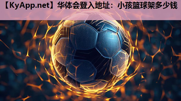 小孩篮球架多少钱 小孩篮球架多少钱