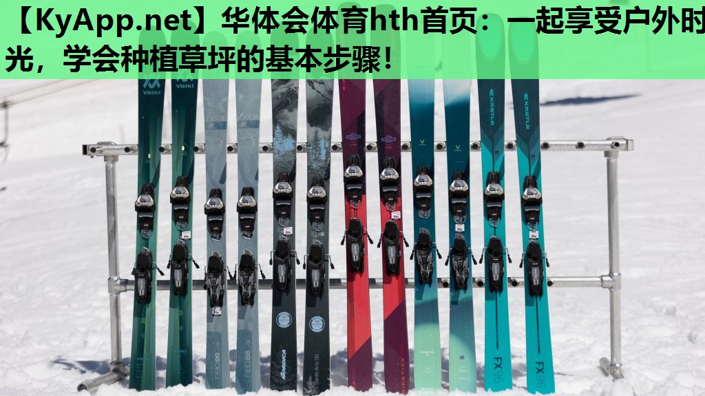 一起享受户外时光,学会种植草坪的基本步骤! 一起享受户外时光,学会种植草坪的基本步骤!