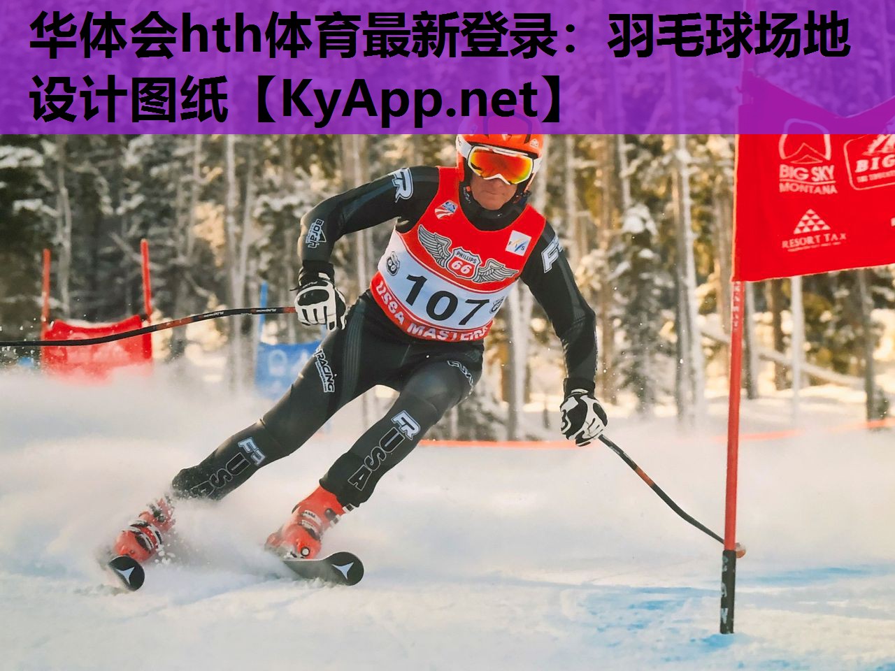羽毛球场地设计图纸 羽毛球场地设计图纸