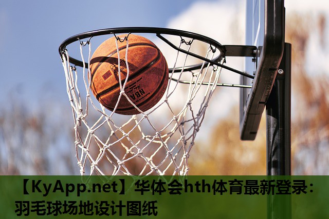羽毛球场地设计图纸 羽毛球场地设计图纸