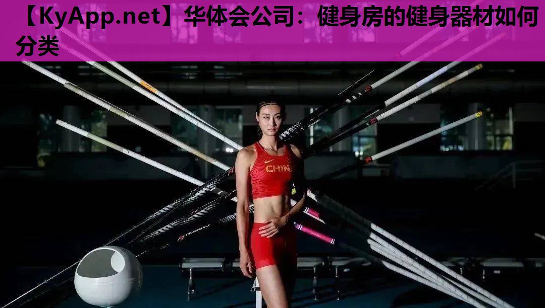 健身房的健身器材如何分类 健身房的健身器材如何分类
