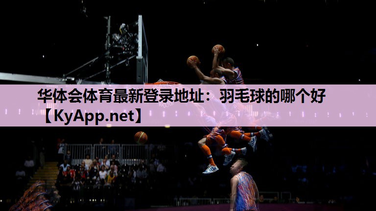 羽毛球的哪个好 羽毛球的哪个好